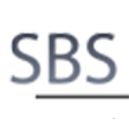 Sbs Consulting Inc